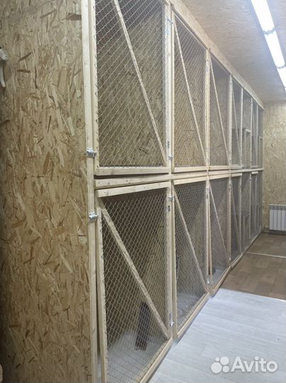 Передержка для животных кошек, грызунов, птиц