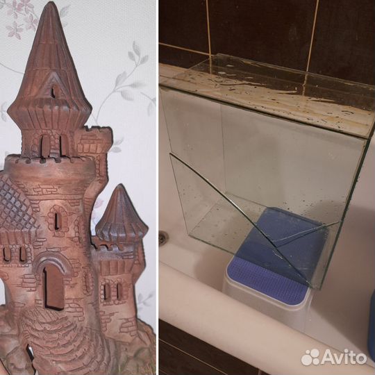 Растения искуств, медуза, щетка