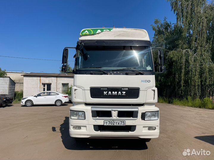 КамАЗ 5490 NEO, 2019