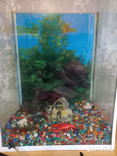 Аквариум