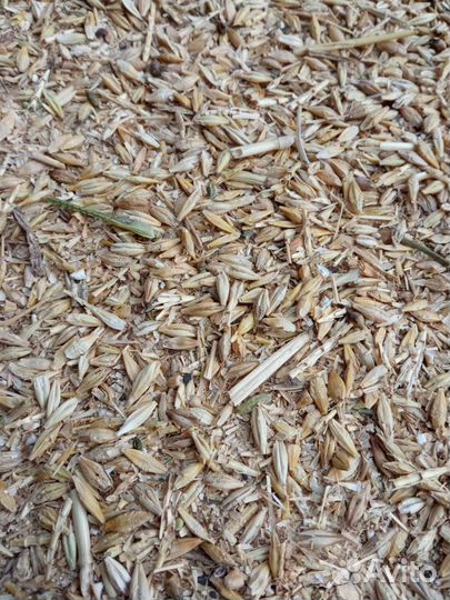 Корм для животных