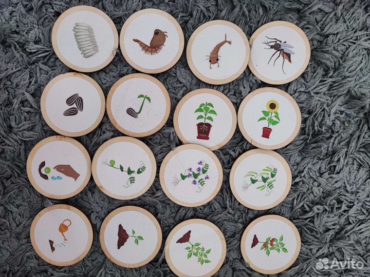 Развивающие игрушки Цикл Жизни