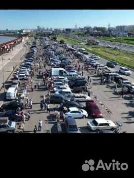 Птички и др живность