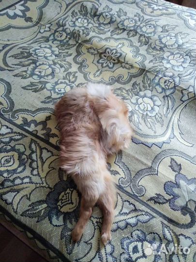 Шапка натуральный мех