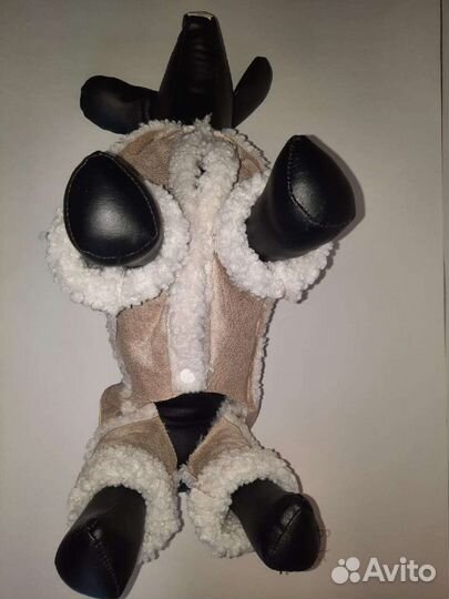 Костюм для собаки