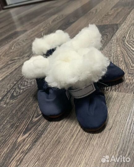 Обувь для собак