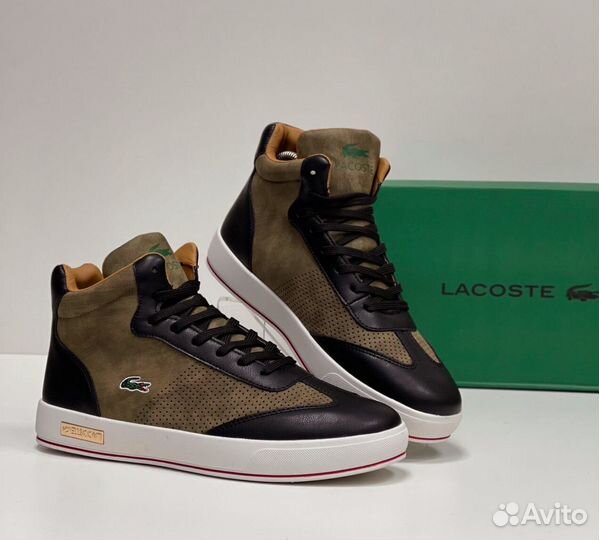 Зимние кроссовки Lacoste