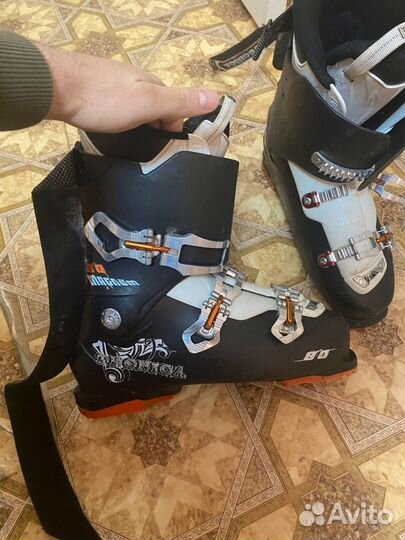 Горные лыжи