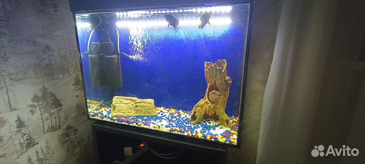 Аквариум 110 литров