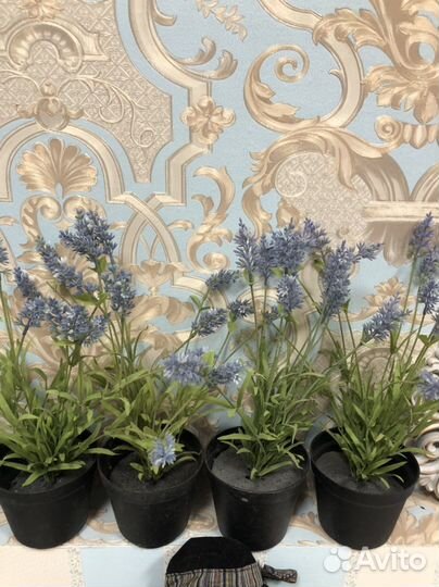 Цветок лаванда, IKEA