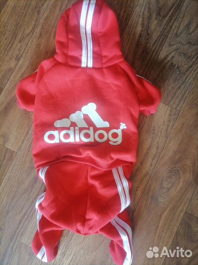 Одежда для собак