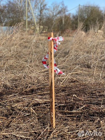 Вынос границ земельного участка