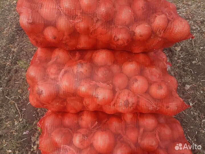 Продам картофель,лук,перец болгарский