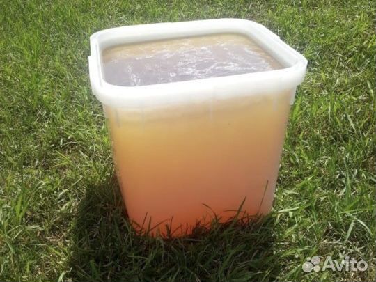 Мёд высших сортов оптом