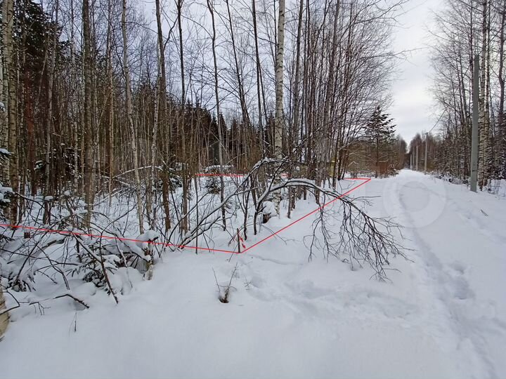 Участок 11,8 сот. (СНТ, ДНП)