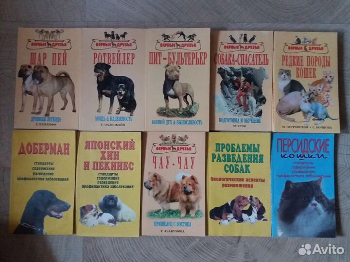 Собаки, кошки, попугаи, канарейка, хомяки, крысы