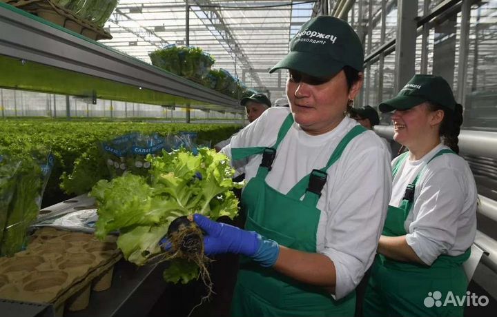 Фасовщица упаковщица