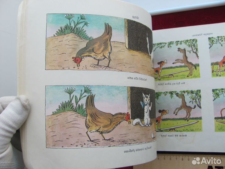 H. Радлов рассказы в картинках на языке синхала