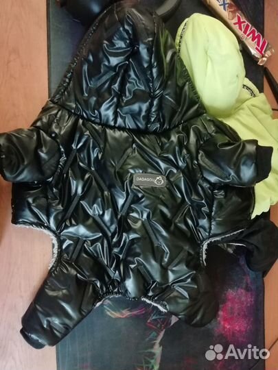 Одежда для собак мелких пород