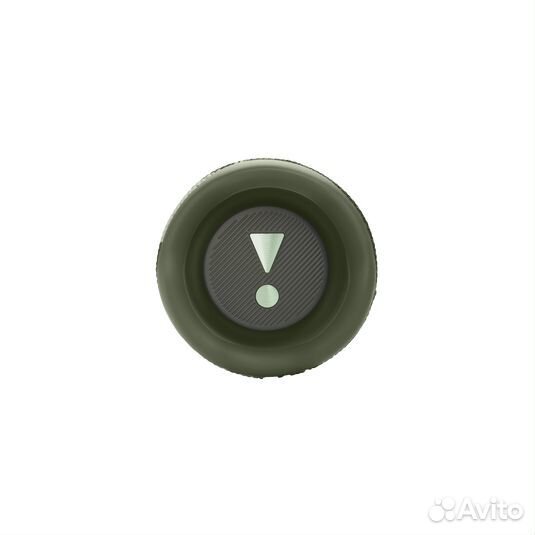 Портативная колонка JBL Flip 6 Squad (jblflip6squa