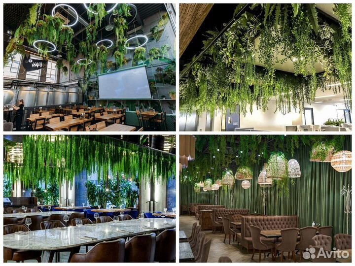 Вертикальное озеленение