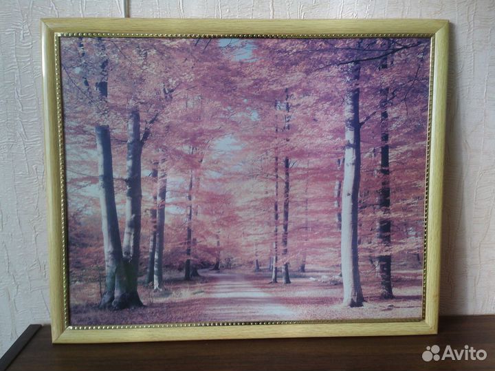 Картина 41x51