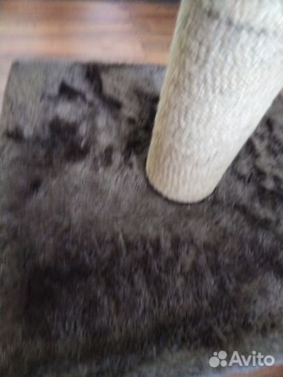 Когтеточка