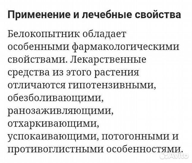 Саженцы,растения