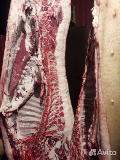 Мясо свинина