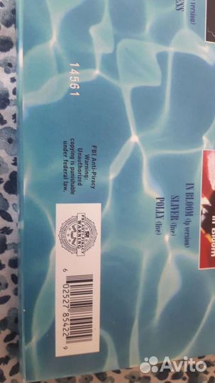 Nirvana nevermind singles box set