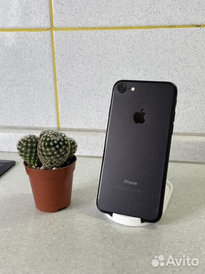 iPhone 7