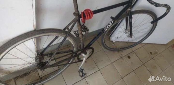 Рама Фикс, fixed gear