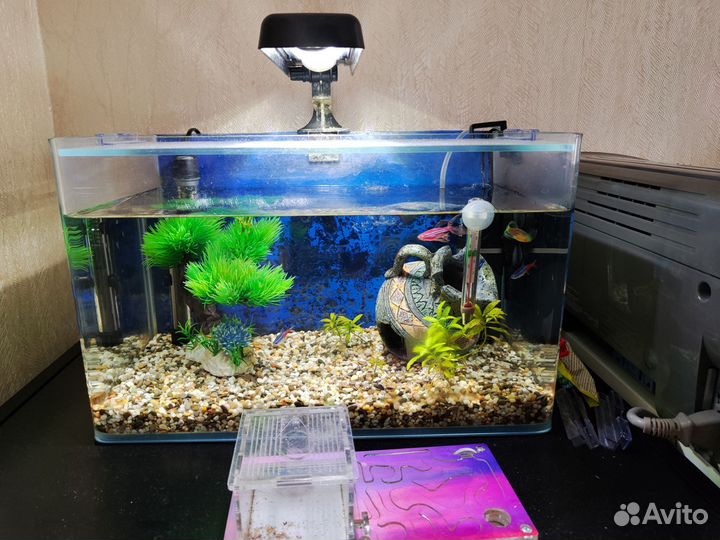 Аквариум с рыбками