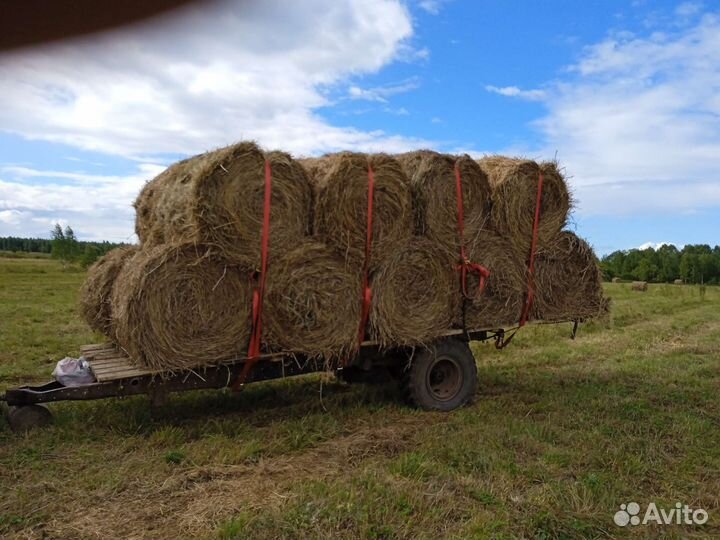 Продам сено в рулонах