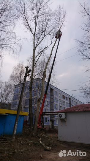 Спил деревьев, расчистка участка, обрезка веток