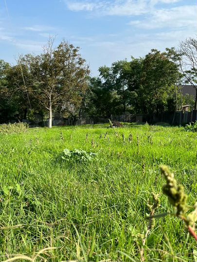 Участок 9,9 сот. (ИЖС)