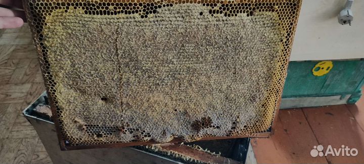 Сотовый мед