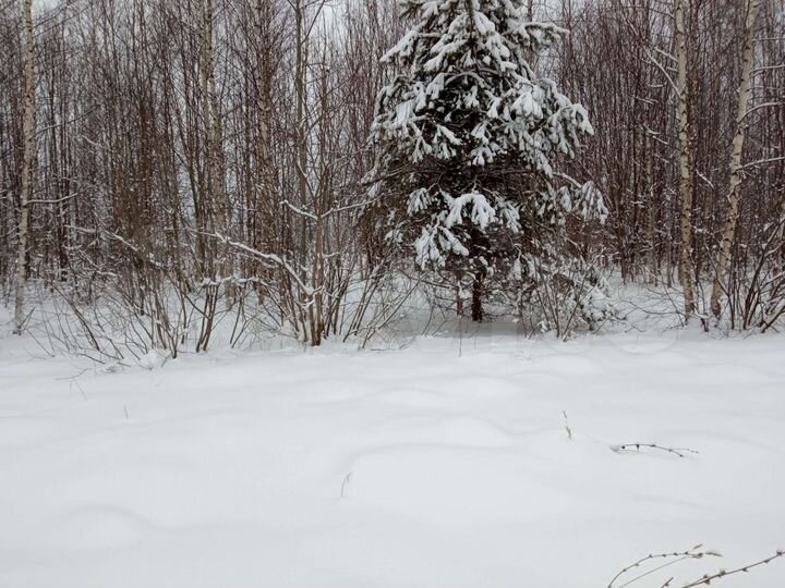 Участок 32 сот. (ИЖС)