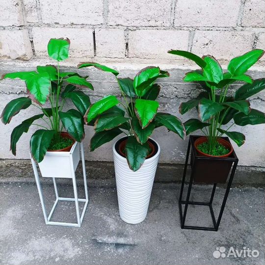 Стрелиция искусственная