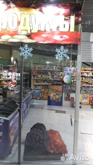 Действующий бизнес