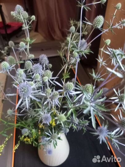 Букетик оберег чертополох