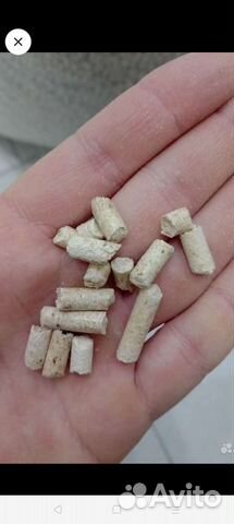 Кошачий туалет