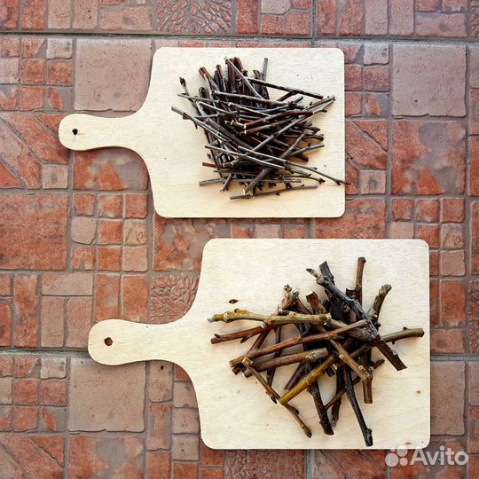 Лакомство ветки для грызунов