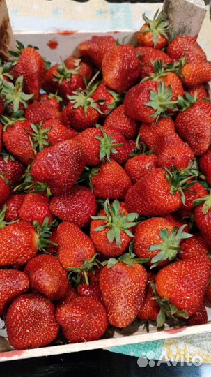 Клубника свежая