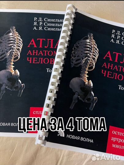 Атлас анатомии человека Синельников 2009-2010г