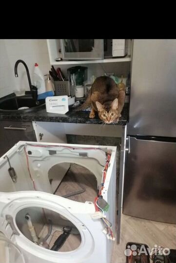 Ремонт стиральных машин