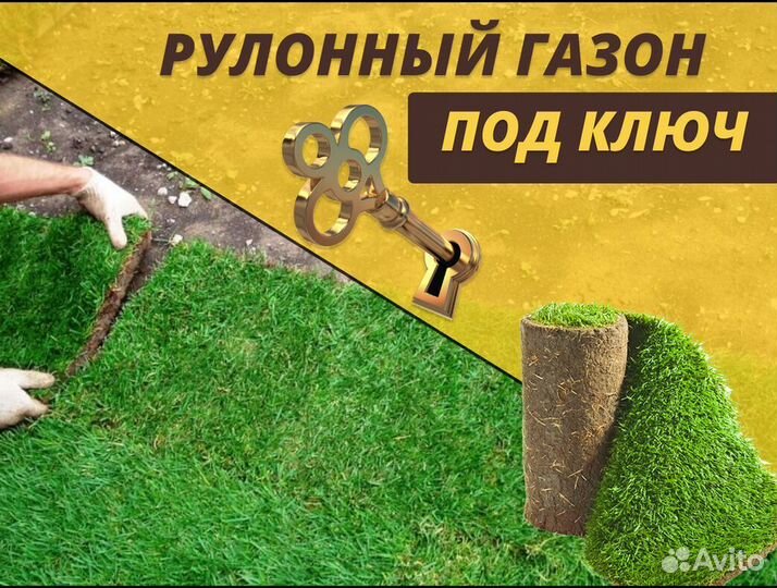 Рулонный газон Стандарт под ключ
