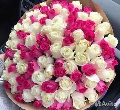 101 роза цветы букеты доставка 25 51 101 роза