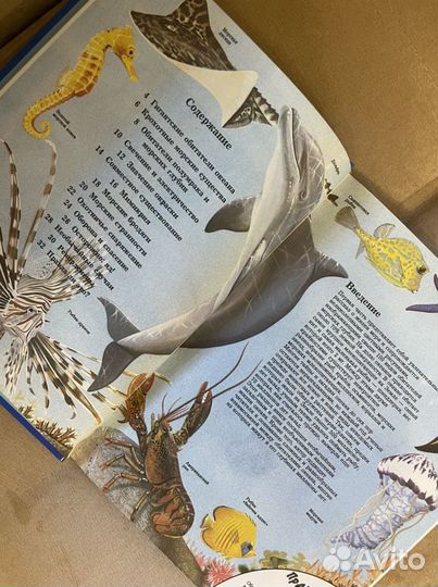 Детская энциклопедия