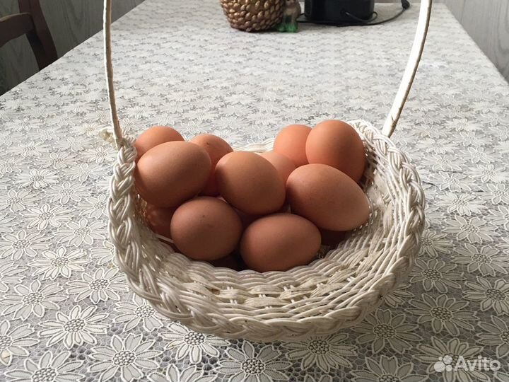 Домашние куриные яйца